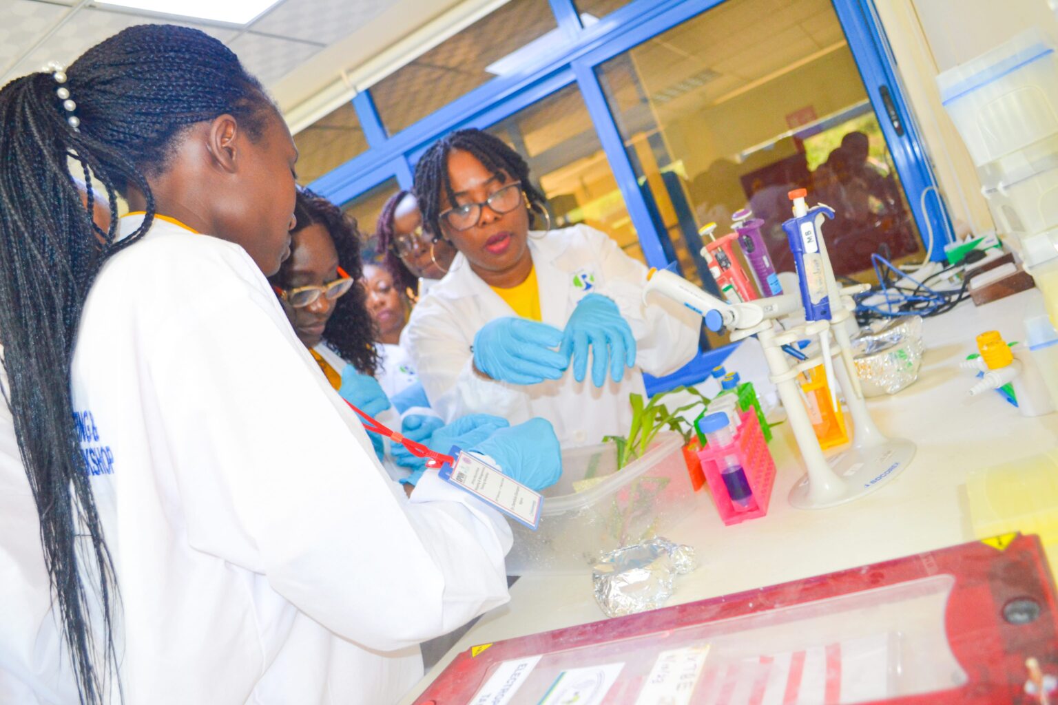 Sciences agronomiques